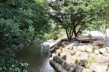 농업회사법인 시즌온 주식회사