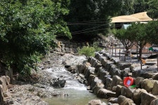 농업회사법인 시즌온 주식회사