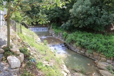 농업회사법인 시즌온 주식회사