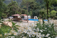 팜스프링 야영장