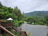 한국관광공사 고캠핑 고캠핑