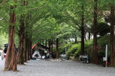 더좋은날n캠핑 고캠핑