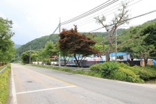 키즈락 캠핑장 고캠핑