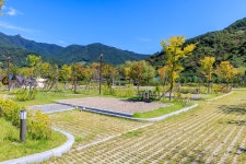 금천계곡 야영장