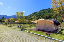 금천계곡 야영장