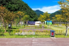 금천계곡 야영장