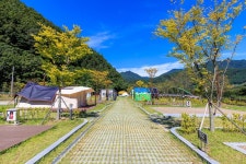 금천계곡 야영장 고캠핑