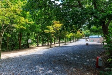 벌곡 산속 캠핑장