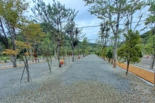 옥화 포시즌캠핑장 고캠핑