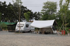 도담2캠핑장 고캠핑