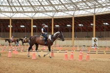 베르아델 승마클럽