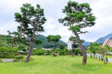 동학사힐링캠핑장 고캠핑