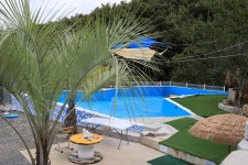 더 숨 포레스트