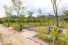 내장산국립공원 내장호야영장