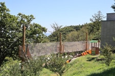 황매산 숲속야영장 고캠핑