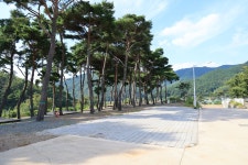 초록여울 캠핑장