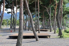 초록여울 캠핑장 고캠핑