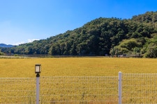 달문관광 농원 고캠핑