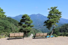 오도산 관광농원 고캠핑