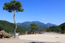 오도산 관광농원 고캠핑