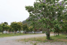 솔향기길야영장