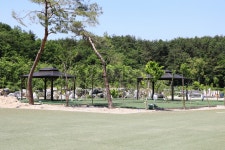 고성라벤더 캠핑장