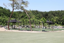 고성라벤더 캠핑장 고캠핑