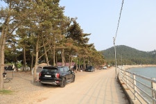 바다풍경관광농원 고캠핑