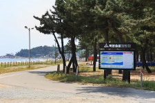 북분솔밭캠핑장