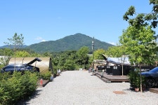 일칠일관광농원