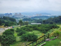 별빛마루 관광농원