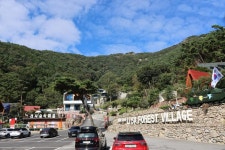 담양리사숲속마을