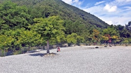 SOL Camping
