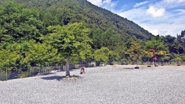 SOL Camping