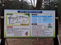 속리산 사내리 캠핑장 고캠핑