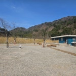 별비담캠핑장