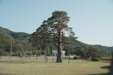 고릴라캠핑 in 속리산 고캠핑