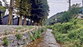 큰마당 오토 캠핑장