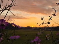 달산 글램핑 고캠핑