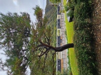 H camping 고캠핑
