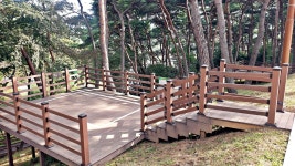 교룡공원 숲속야영장