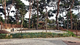 교룡공원 숲속야영장