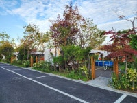 다온숲 노을 캠핑정원