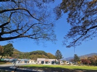 선돌느티나무캠핑마을 영농조합법인