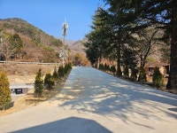 서진이네 오토캠핑장 고캠핑