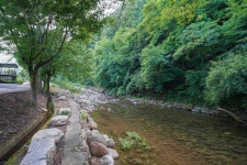 소백산 별빛감성 캠핑장 고캠핑