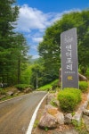 앤더포레