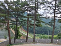 화금지 숲속캠핑장
