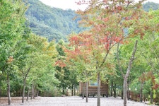 가평사계절캠핑장 고캠핑