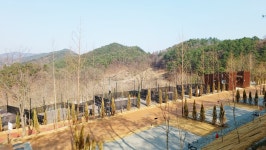 아름다운 야영장